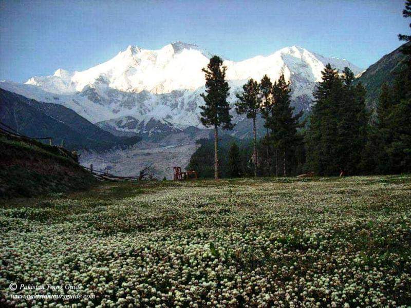 Fairy Meadows Broad View Hotel And Resort